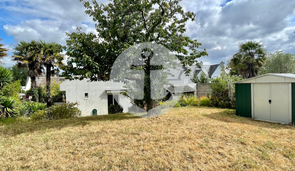 Image6